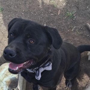 Meet your Posher, Jane